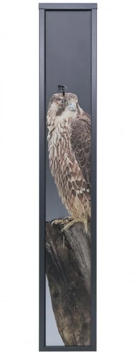 Сейф для оружия Aiko Беркут-3 Print